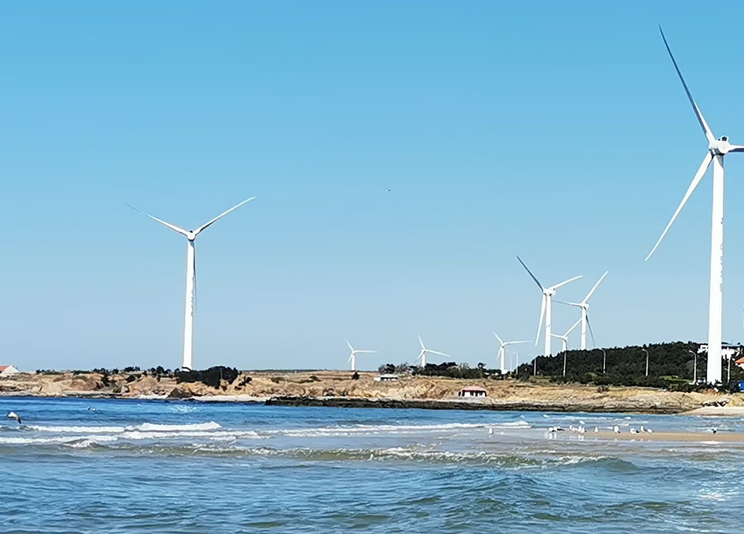 单日发电量首破亿！山东能源集团以70%增速领跑迎峰度夏