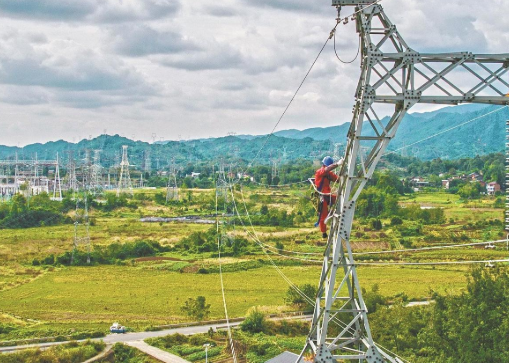 精准模拟暂态信号，提高故障线路识别准确率